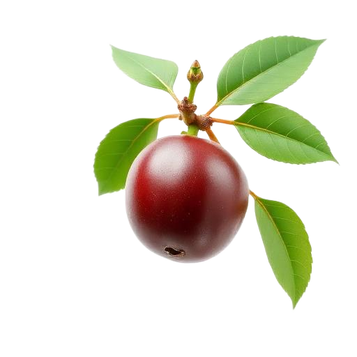amla